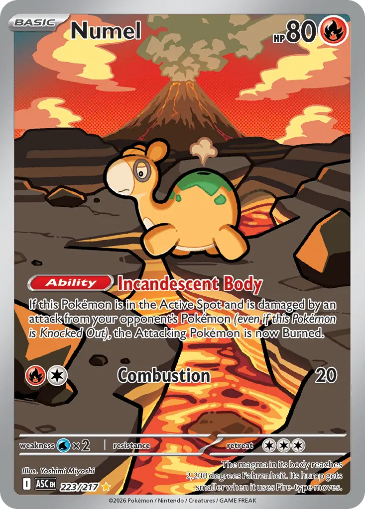 Numel - 223/217