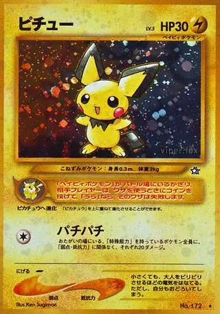 Pichu - 042/096